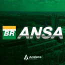 ANSA